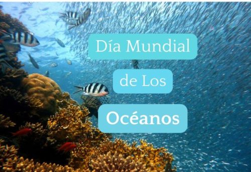 08 de Junio: Día Mundial de los Océanos