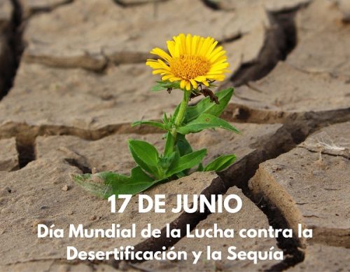 17 de Junio: Día Mundial de la Lucha contra la Desertificación y la Sequía