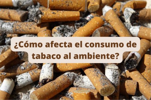 ¿Cómo afecta el consumo de tabaco al ambiente?