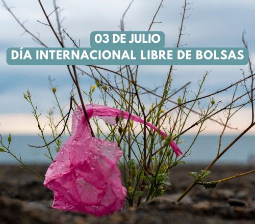 03 de Julio: Día Internacional Libre de bolsas