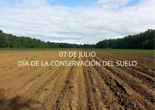 07 de julio: Día de la conservación del suelo