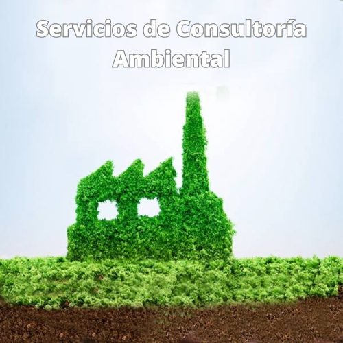 SERVICIOS DE CONSULTORÍA AMBIENTAL