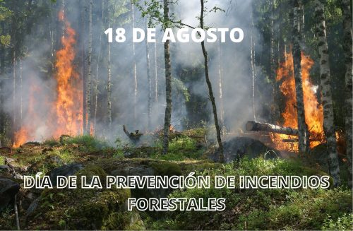 18 DE AGOSTO: DÍA DE LA PREVENCIÓN DE INCENDIOS FORESTALES