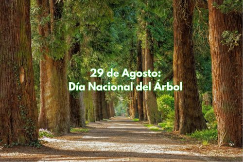 29 DE AGOSTO: DÍA NACIONAL DEL ÁRBOL