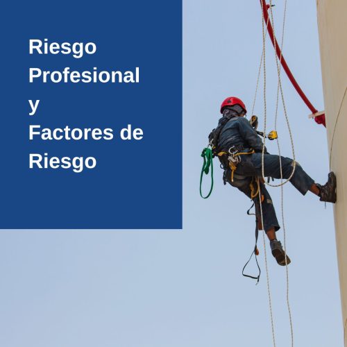 RIESGO PROFESIONAL Y FACTORES DE RIESGO