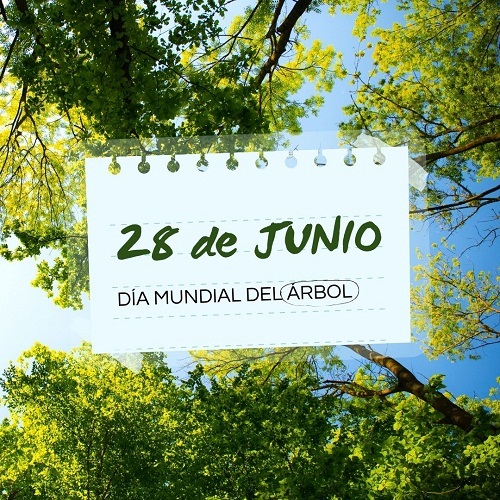 28 DE JUNIO: DÍA MUNDIAL DEL ÁRBOL
