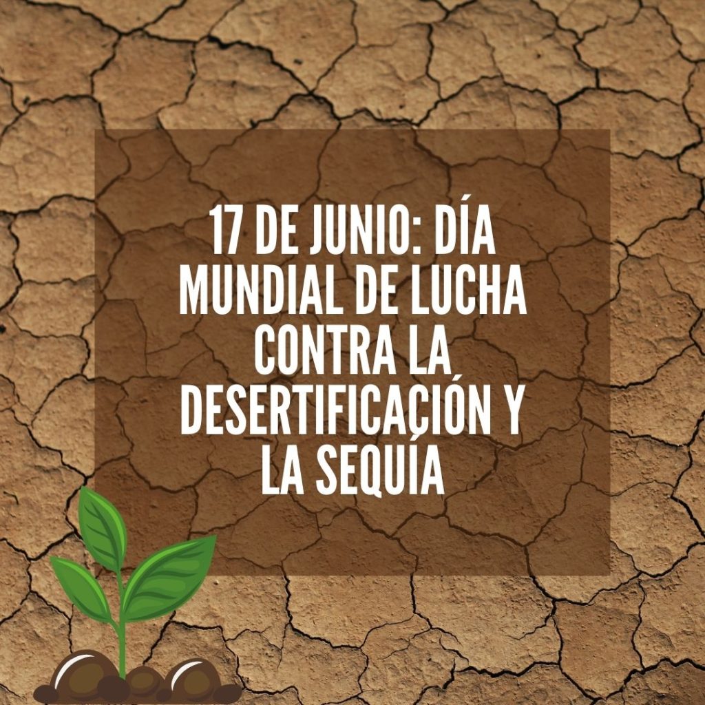 5 de Junio: Día Mundial del Medio Ambiente - MatrizYa
