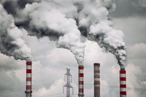 DíA MUNDIAL POR LA REDUCCIÓN DE LAS EMISIONES DE DIÓXIDO DE CARBONO (CO2)