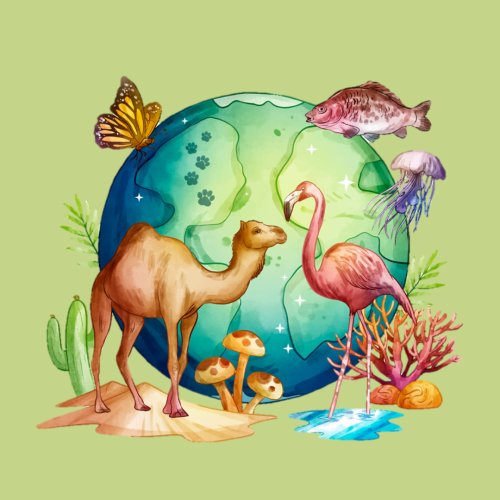 22 DE MAYO: DIA DE LA DIVERSIDAD BIOLÓGICA